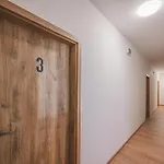Flat Near Prague Castle Stylish & Prime Location 3